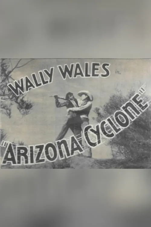 Arizona Cyclone (фильм)