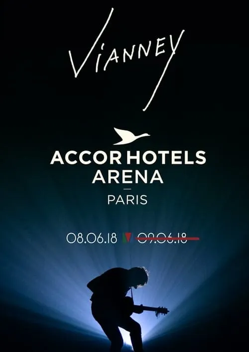 Vianney en concert à l’AccorHotels Arena (movie)