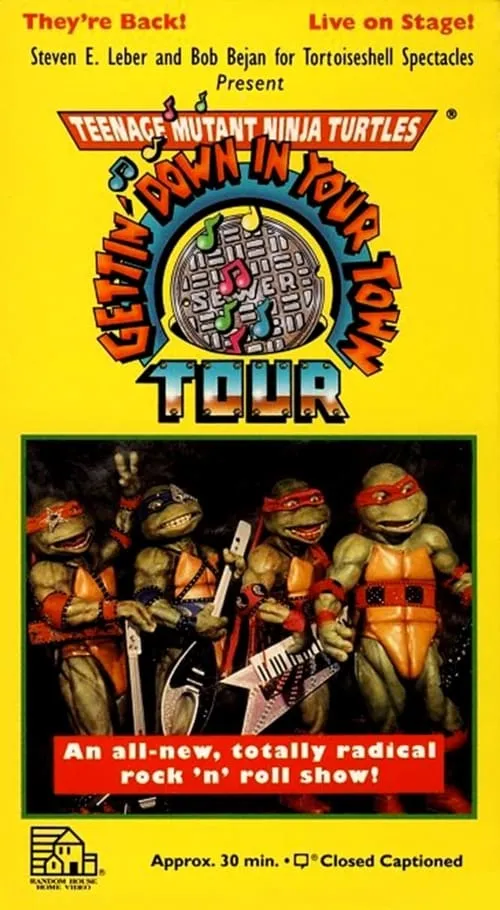 Teenage Mutant Ninja Turtles: Getting Down In Your Town (movie)