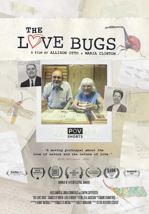 The Love Bugs (movie)