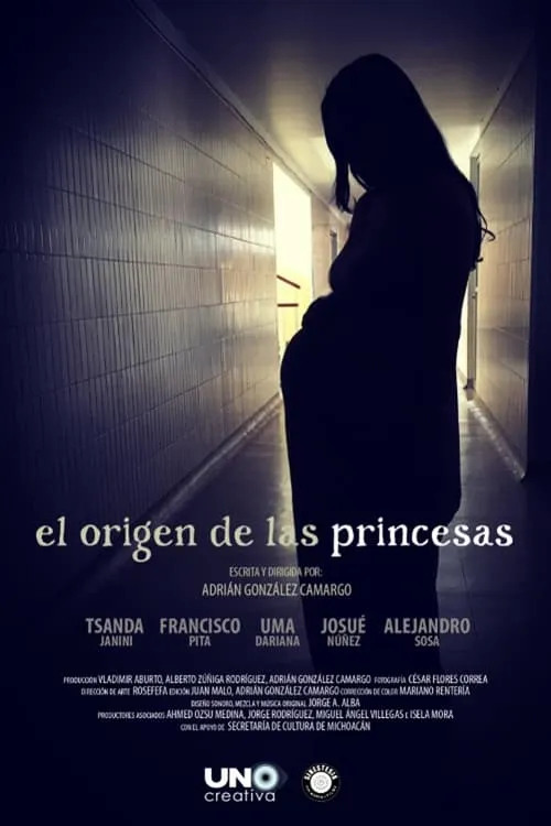 The provenance of the princesses (movie)