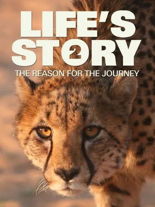 Life's Story 2: The Reason For The Journey (фильм)