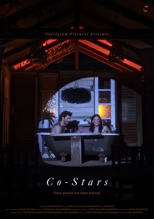 Co-Stars (movie)