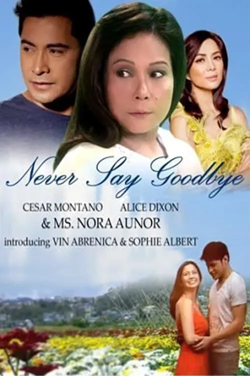 Never Say Goodbye (сериал)