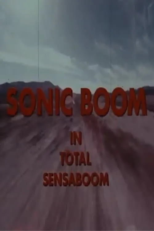 Sonic Boom (movie)