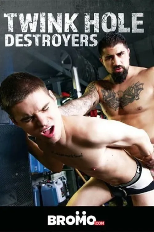 Twink Hole Destroyers (movie)