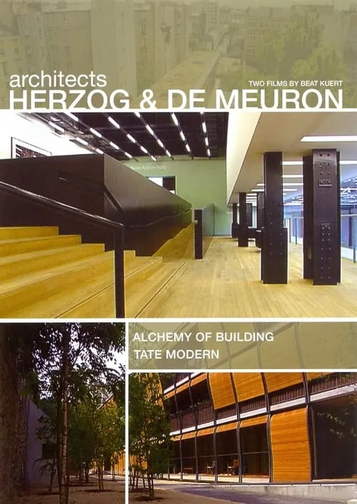 Architects Herzog and deMeuron: The Alchemy of Building & The Tate Modern (movie)