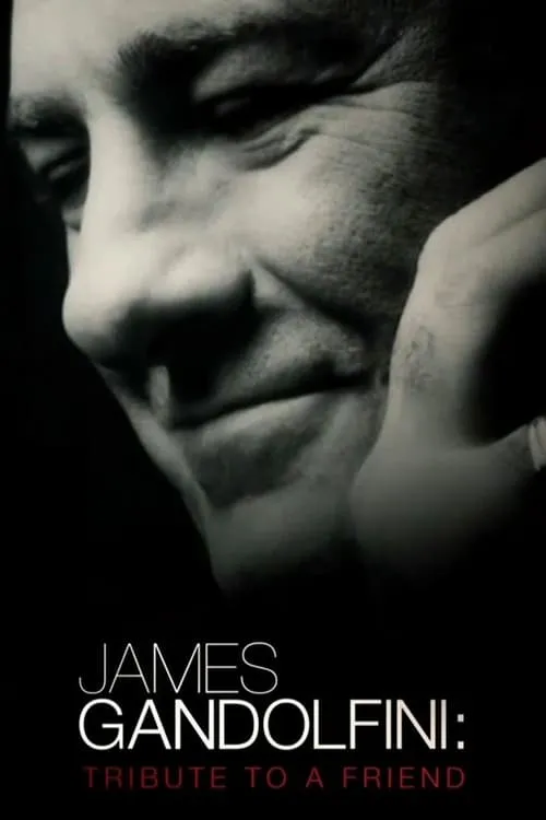 James Gandolfini: Tribute to a Friend (movie)