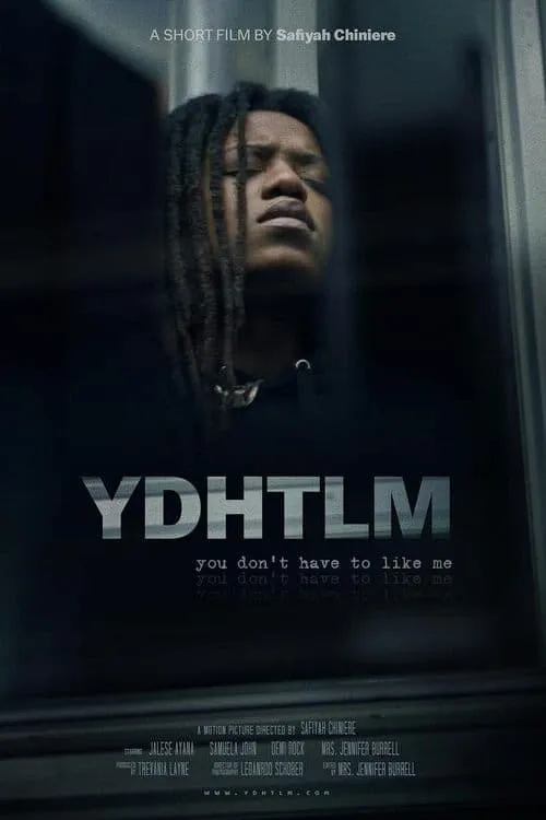 YDHTLM: You Don't Have to Like Me (фильм)