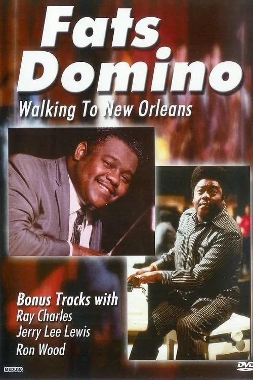 Fats Domino: Walking to New Orleans (movie)