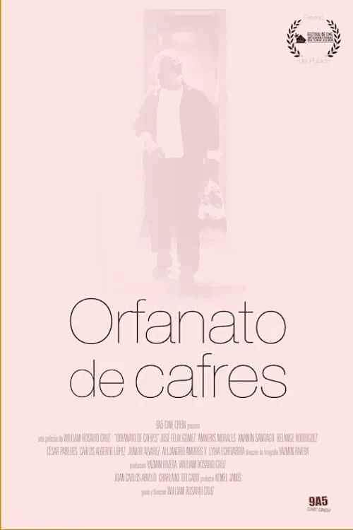 Orfanato de cafres (фильм)