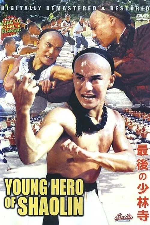 The Young Hero of Shaolin (movie)