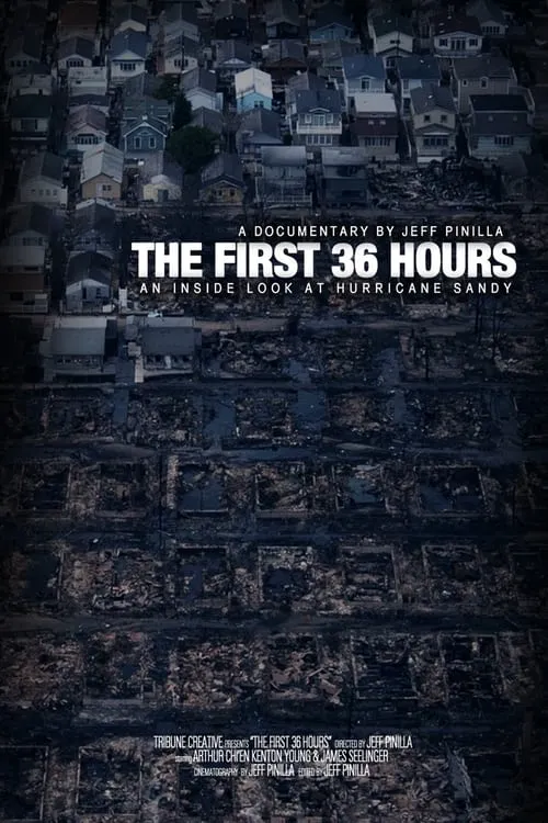 The First 36 hours: An Inside Look at Hurricane Sandy (movie)