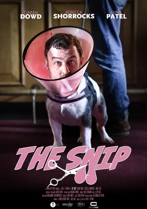 The Snip (фильм)