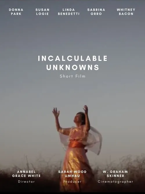 Incalculable Unknowns (movie)