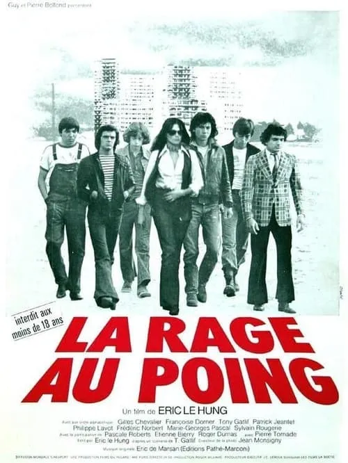 La rage au poing (фильм)