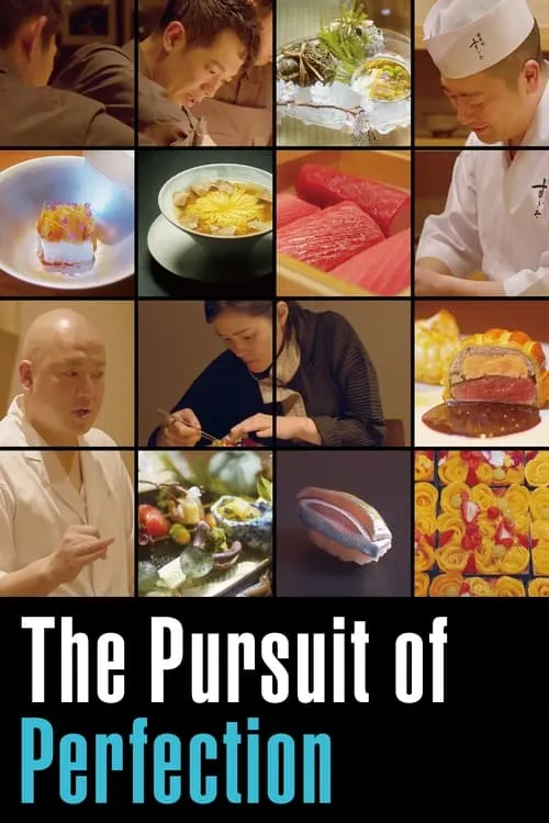 The Pursuit Of Perfection (movie)