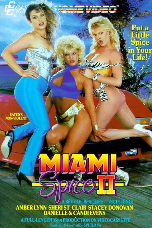 Miami Spice II (movie)