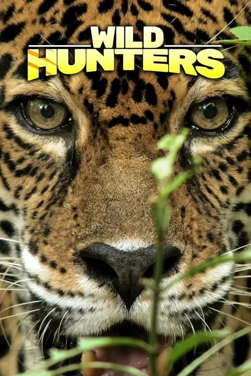 Wild Hunters (series)