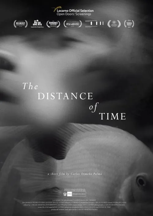 The Distance of Time (movie)