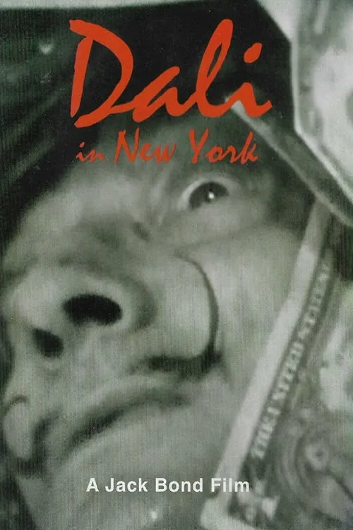 Dali In New York