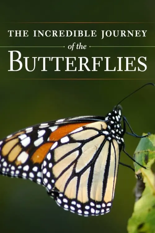 The Incredible Journey of the Butterflies (фильм)