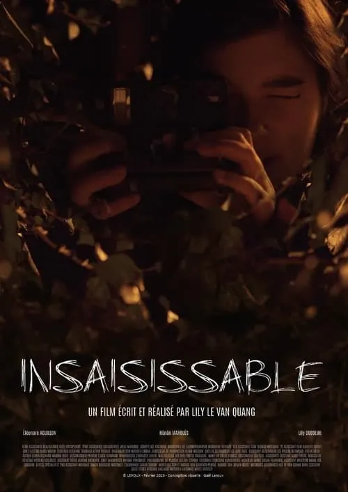 Insaisissable (фильм)