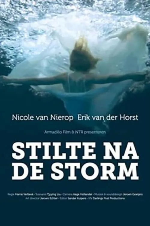 Stilte na de storm (фильм)