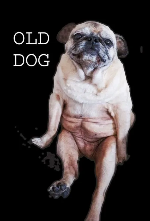 Old Dog (movie)