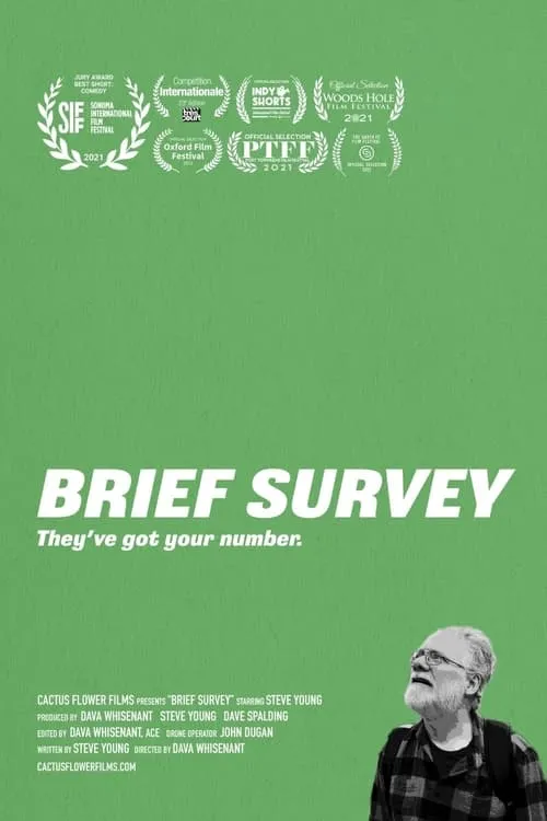 Brief Survey (movie)