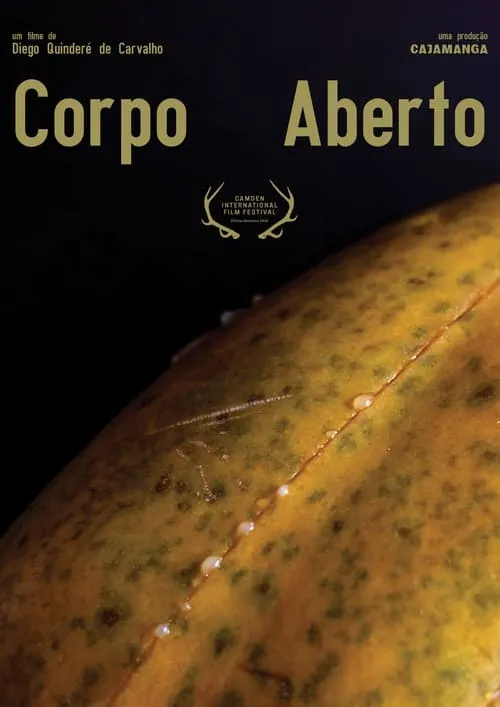 Corpo Aberto (фильм)