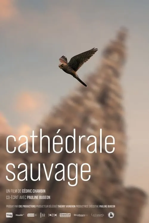 Cathédrale sauvage (movie)