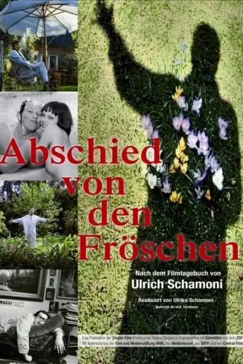 Abschied von den Fröschen (фильм)