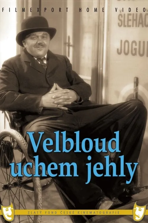 Velbloud uchem jehly (фильм)