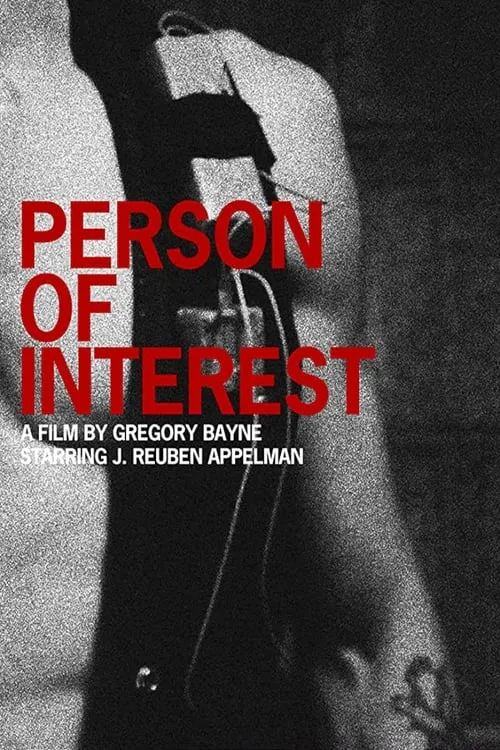 Person of Interest (movie)