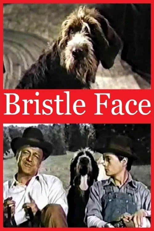 Bristle Face (movie)