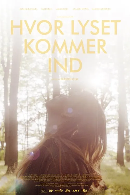 Hvor lyset kommer ind (movie)