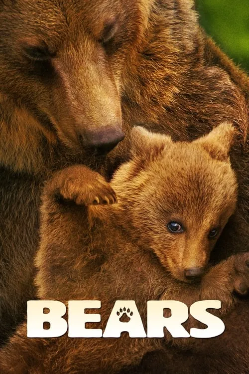 Bears (movie)