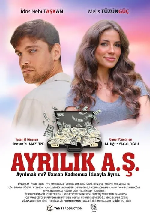 Ayrılık A.Ş. (movie)