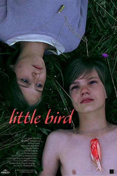 Little Bird (movie)