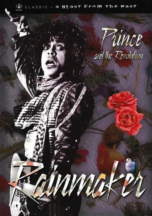 Prince and the Revolution: The Makings Of Rain (movie)