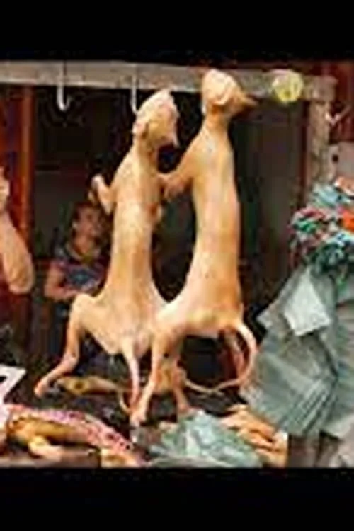 Dining on Dogs in Yulin (movie)