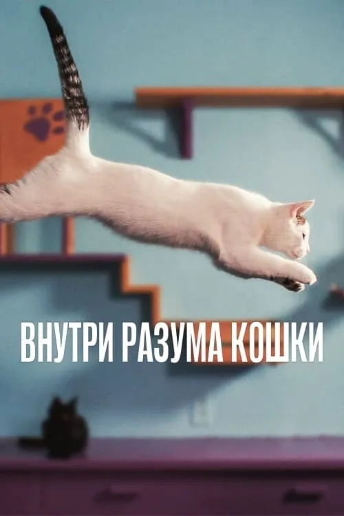 Внутри разума кошки (фильм)