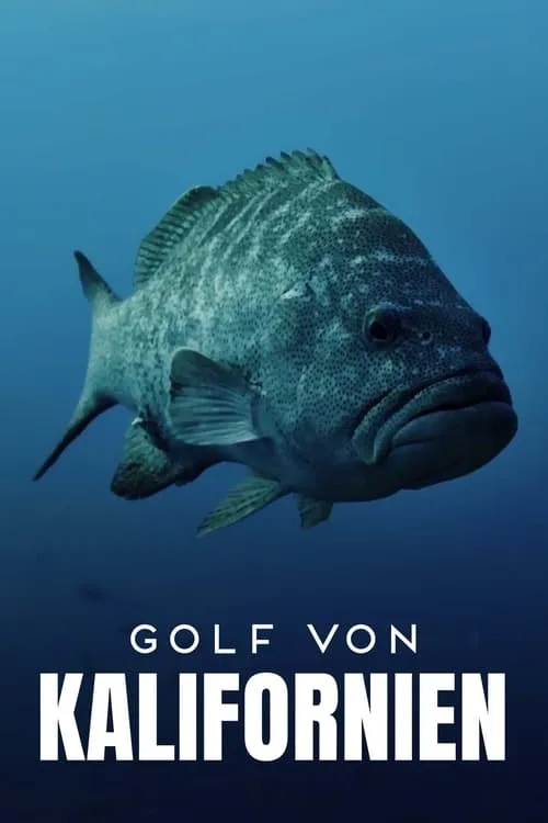 Golf von Kalifornien (series)