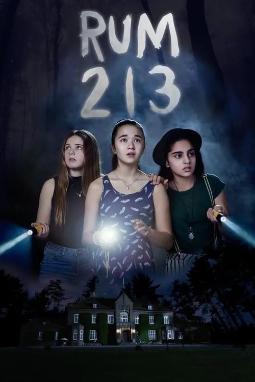 Room 213 (movie)