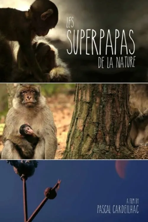 Nature's Superdads (movie)