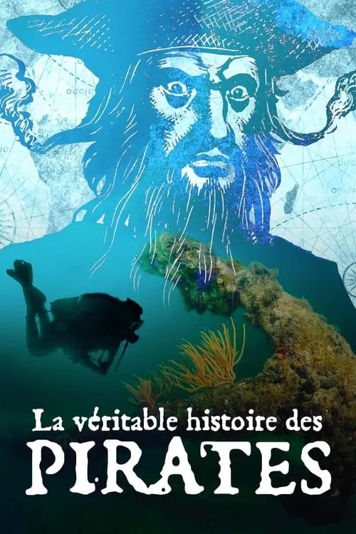 La Véritable histoire des pirates (фильм)