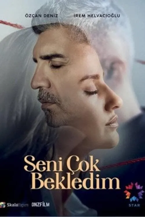 Seni Çok Bekledim (series)