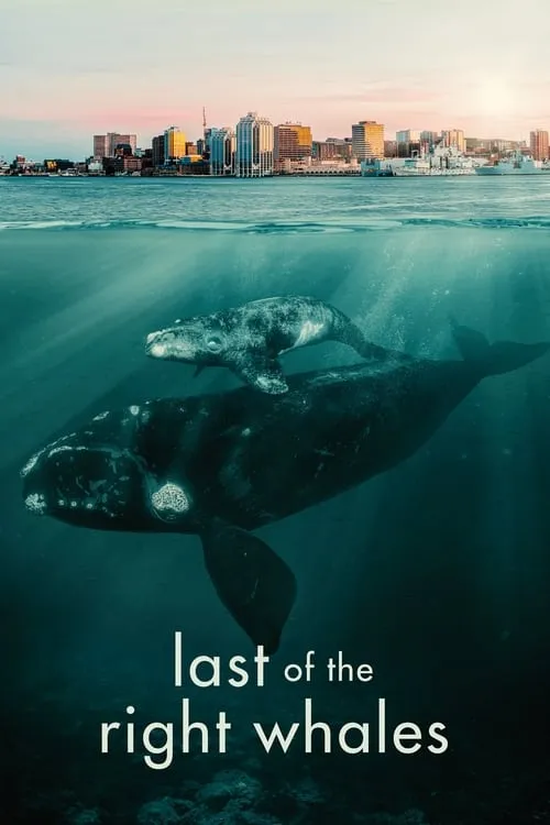 Last Of The Right Whales (movie)