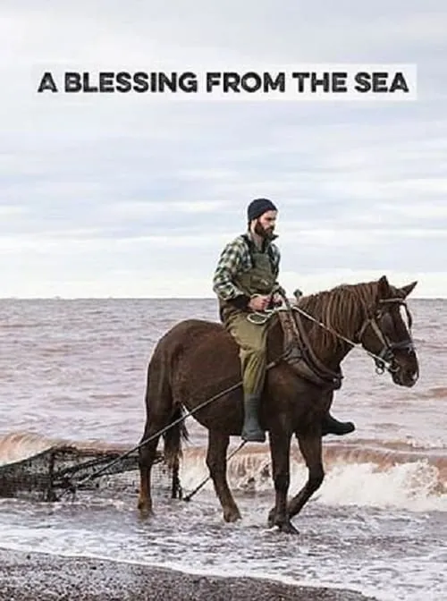 A Blessing from the Sea (фильм)